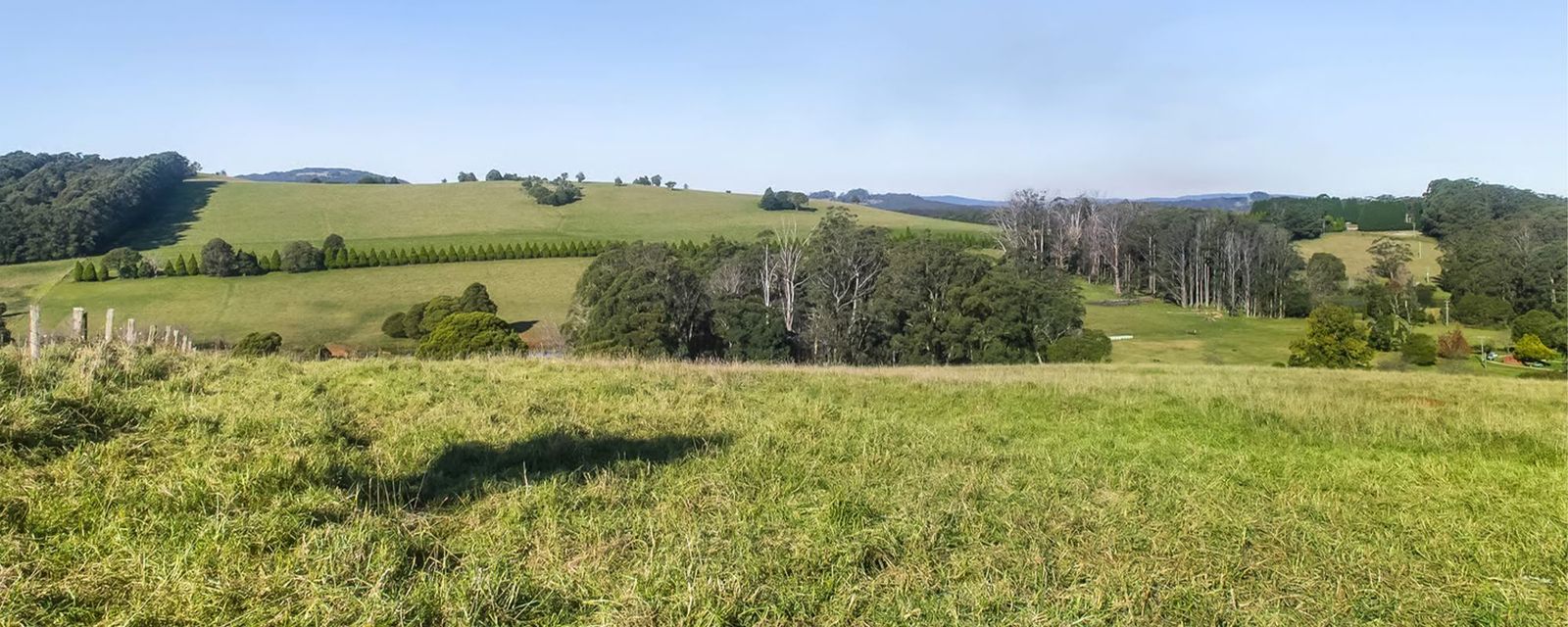 Wildes Meadow