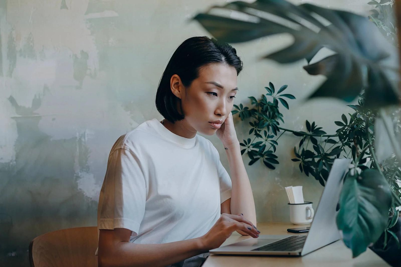 Guide to renting a property in NSW