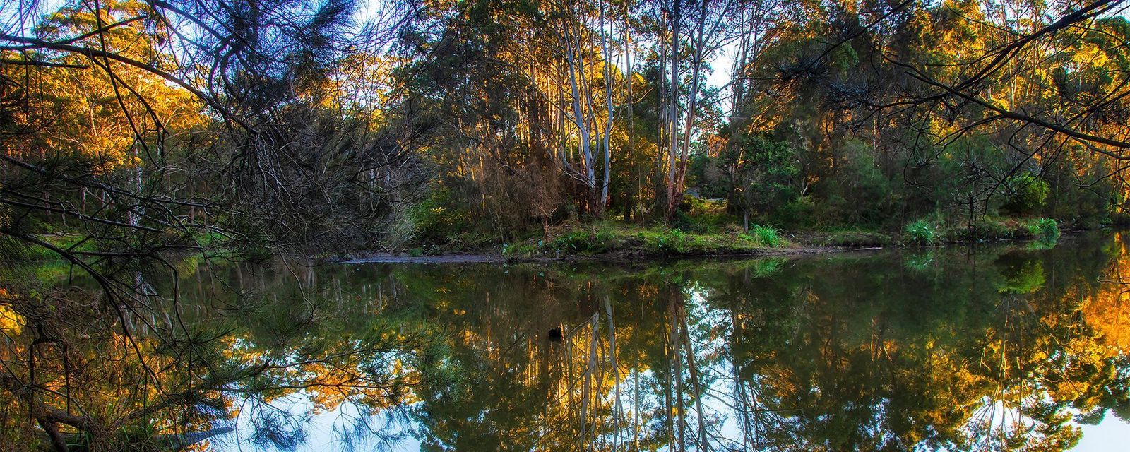 Lane Cove North