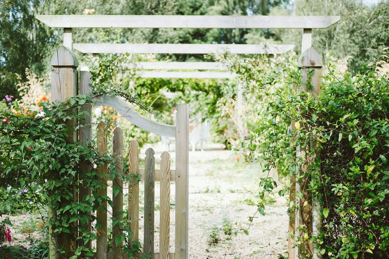 The ultimate guide to property appraisals