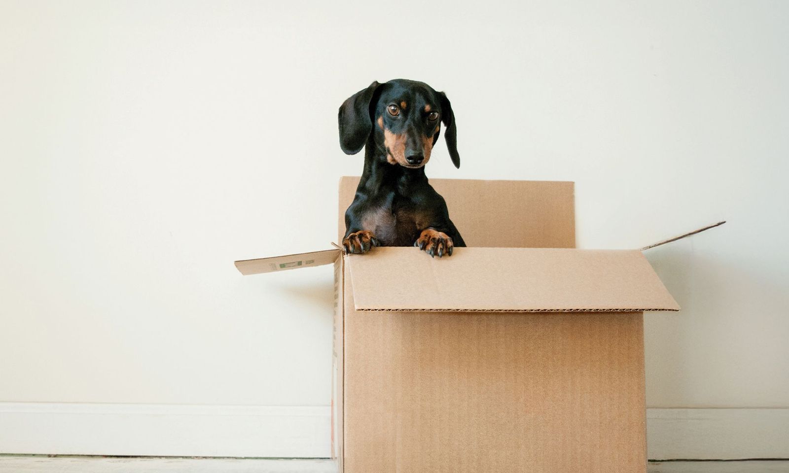 Buying your first home: six steps to help make it happen